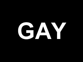 Gay Gay Gay