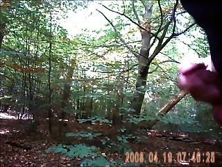 Flashing My Cock The Woods