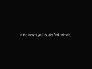 Sweedish Wood Trailer