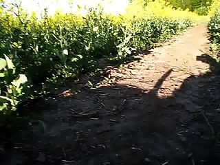 Afternoon In The Canola-field & Little Shadow Theatre