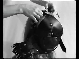 Heavy Leather Head Harness